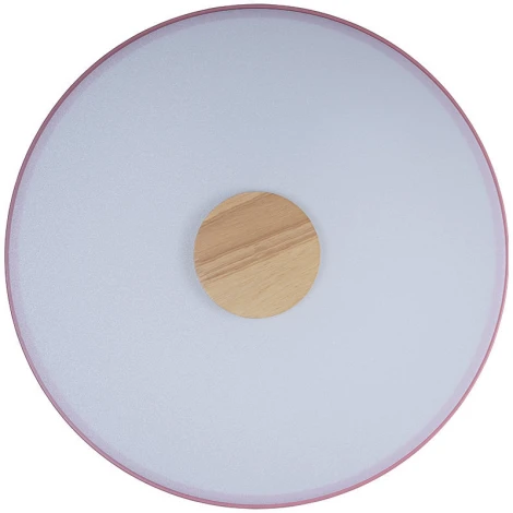 Потолочный светильник круглый Loft IT Axel 10003/24 Pink (LED, 220V, круглые)