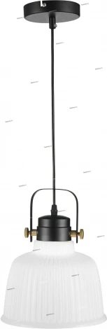 Подвесной светильник ST Luce Aletante SL714.443.01