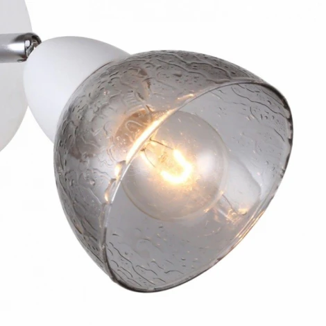 Бра F-Promo Rosebud 2350-1W
