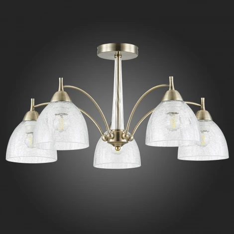 Потолочная люстра Evoluce Nuele SLE104402-05