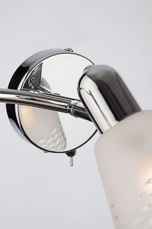 Спот Eurosvet Organic 20053/3 хром