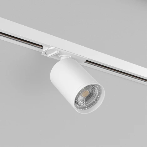 Трековый светильник Denkirs DK620 DK6201-WH (220V, круглые)
