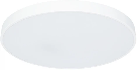 Потолочный светильник Arte Lamp Arena A2671PL-1WH