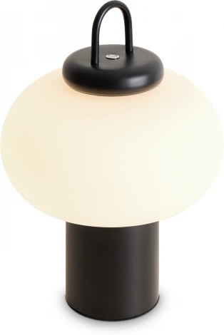 Настольная лампа Freya Take FR6175TL-L10B (LED, 220V, круглые)