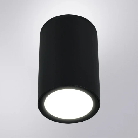 Уличный потолочный светильник Arte Lamp Torcular A1307PF-1BK