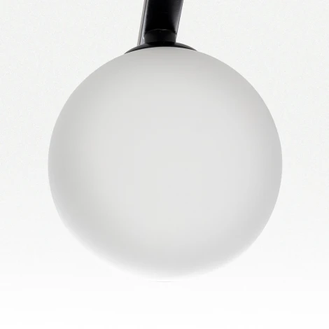 Потолочная люстра Citilux Glob CL209261