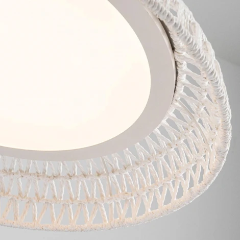 Подвесной светильник LED F-Promo Conrad 4751-5P (220V, на тросе)