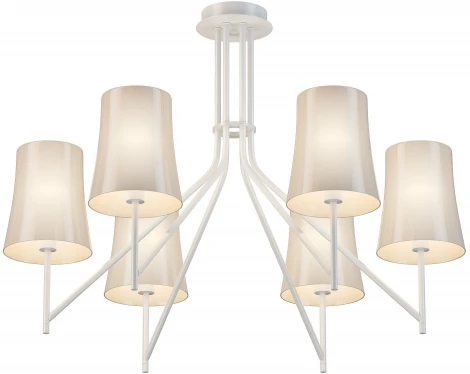 Потолочная люстра Favourite Sigma 2959-6P