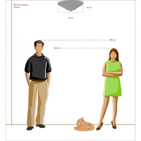 Потолочный светильник Chiaro Айвенго 382015903