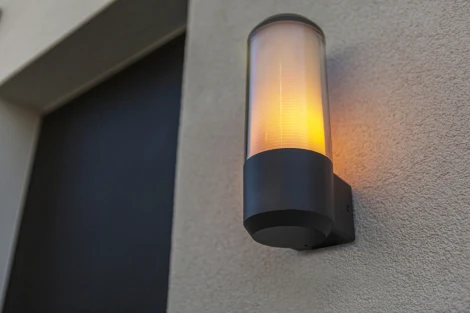 Настенный светильник уличный Oasis Light BRISBANE 2882 Gr (220V, IP44)