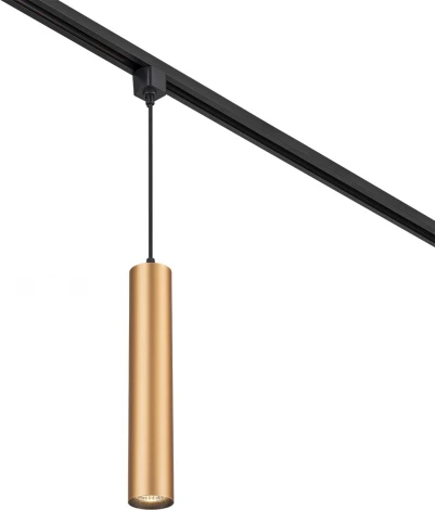 Трековый светильник однофазный Escada 20001 20001TRP/01 BR 1x50Вт GU10, металл, латунь матовая (220V, круглые)