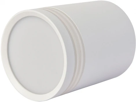 Точечный светильник накладной Favourite Darar 3065-1C (220V, круглые)