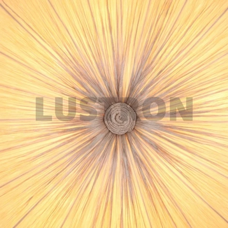 Потолочный светильник ST Luce Tessile SL351.172.08