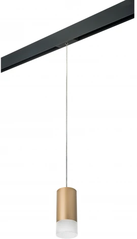 Трековый светильник однофазный 220V Lightstar Rullo PRORP440131 (круглые)