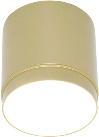 Потолочный светильник Maytoni Polar C088CL-GX53-MG GX53 1x15W