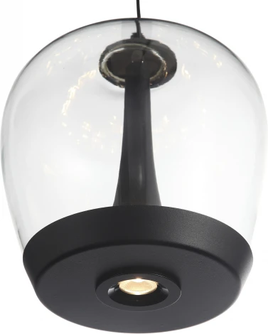 Подвесной светильник ST Luce Ripple SL6014.423.01 Черный/Прозрачный, Черный LED 1*17W (220V, на тросе)