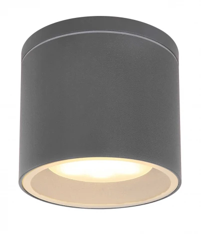 Потолочный светильник уличный светодиодный Alcala 32063A IP44 (220V, круглые)