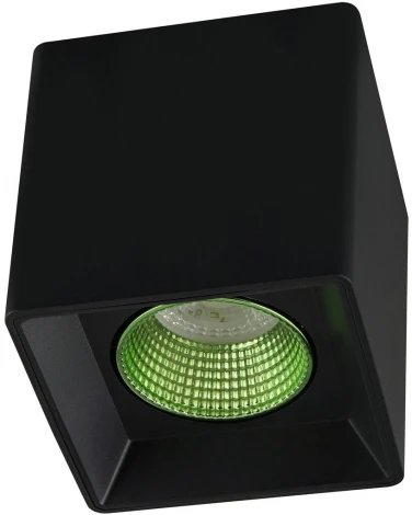 Накладной точечный светильник Denkirs DK3080-BK+GR