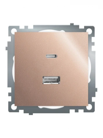 Розетка USB Type A+С (шампань) Stekker Катрин 50056
