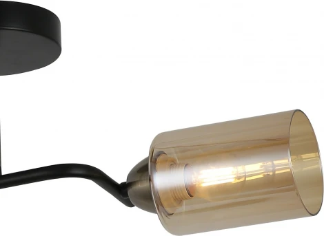 Потолочная люстра на штанге ILLUMICO IL8148-2COU-79 BK BR Bice (220V)