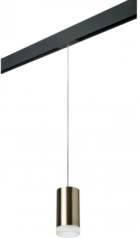 Трековый светильник однофазный 220V Lightstar Rullo PRORP43130 (круглые)