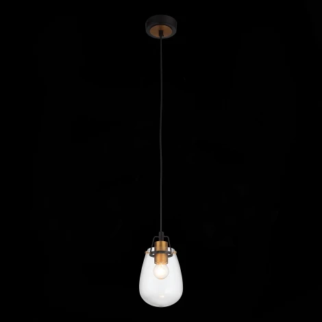 Подвесной светильник ST Luce Buneve SL428.403.01