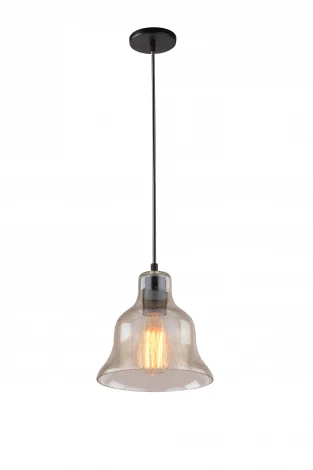 Подвесной светильник Arte Lamp Amiata A4255SP-1AM