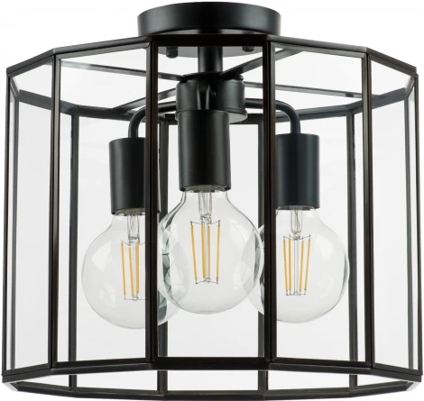 Потолочная люстра Lightstar Genni 798237 (220V, круглые)