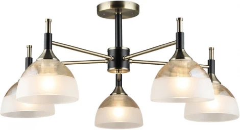 Потолочная люстра на штанге Wedo Light Olis WD3617/5C-AB-BK-WT