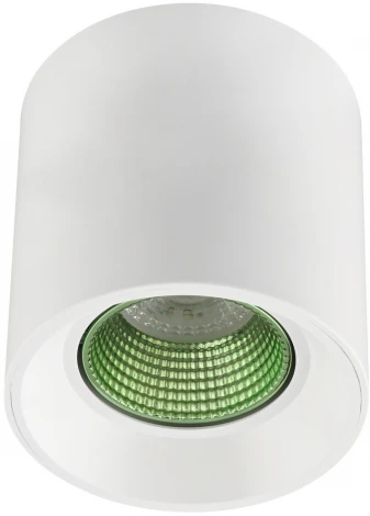 Накладной точечный светильник Denkirs DK3090-WH+GR
