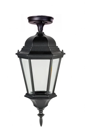 Потолочный светильник уличный Oasis Light ASTORIA 2 91405LA cover Bl (220V, IP44)