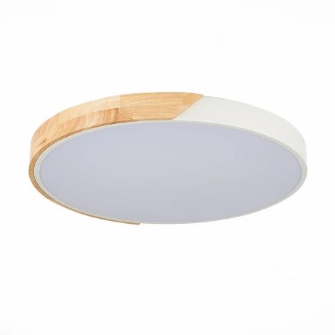 Потолочный светильник Evoluce Festa SLE200952-01