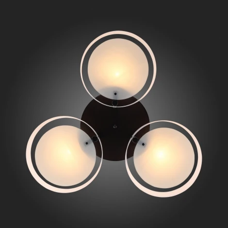 Потолочная люстра ST Luce Foresta SL483.402.03