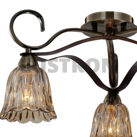 Потолочная люстра ST Luce SL324 SL324.302.03