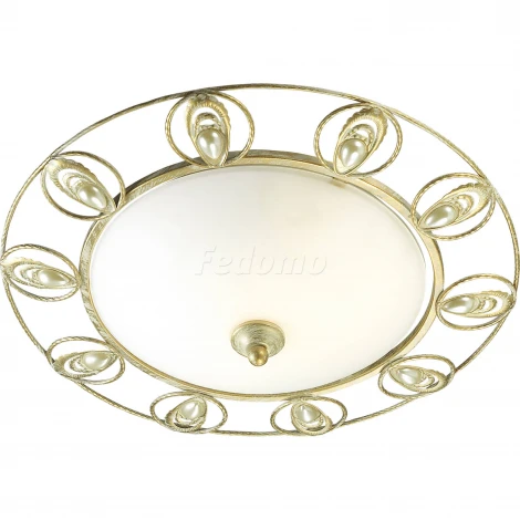 Настенно-потолочный светильник Odeon Light Kanti 3483/2C