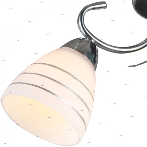 Потолочная люстра J-Light 1255 1255/3C