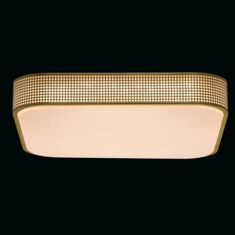 Потолочный светильник MW-Light Ривз 674015701