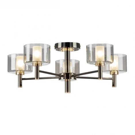 Потолочная люстра на штанге Citilux Elan CL241151 (220V)