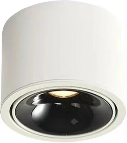 Точечный светильник светодиодный накладной Wertmark Altair WTA.O06.067.30.12 (220V, круглые)