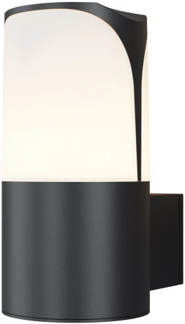 Настенный светильник уличный Maytoni Piccadilly O016WL-01B (220V, IP44)