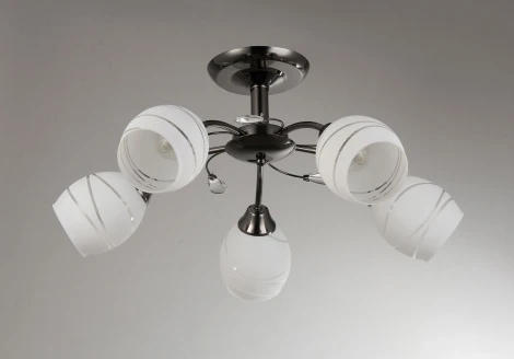 Потолочная люстра Toscom Brum TC-300-205