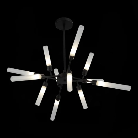 Потолочная люстра ST Luce Splio SL1620.402.12