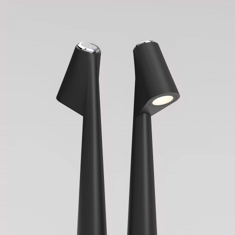 Настольная лампа светодиодная с аккумулятором Elektrostandard Elite TL70250 черный (регулировка яркости)