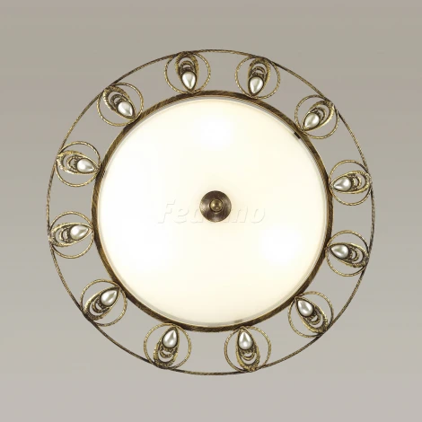 Настенно-потолочный светильник Odeon Light Kanti 3484/2C
