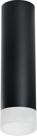 Точечный накладной светильник Lightstar Rullo R649781 (220V, круглые)