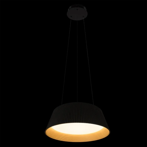 Подвесной светильник Loft It Evans 10224P Black (LED, 220V, на тросе, круглые)