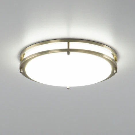 Настенно-потолочный светильник Citilux Бостон CL709323N (LED, 220V, диммер, круглые, IP44)