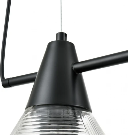 Подвесной светильник Lumion Corne 6595/4A черный/прозрачный, металл/стекло E27 4*60W 220V (на проводе)