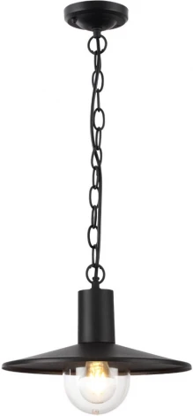Уличный светильник подвесной Odeon Light Furcadia 4833/1 (220V, на цепи, круглые, IP44)