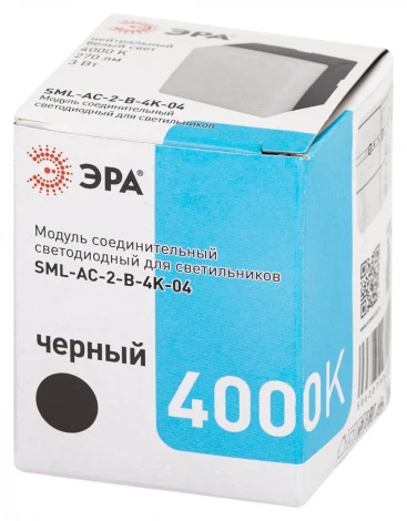 Настенно-потолочный светильник светодиодный ЭРА SML-AC-2-B-4K-04